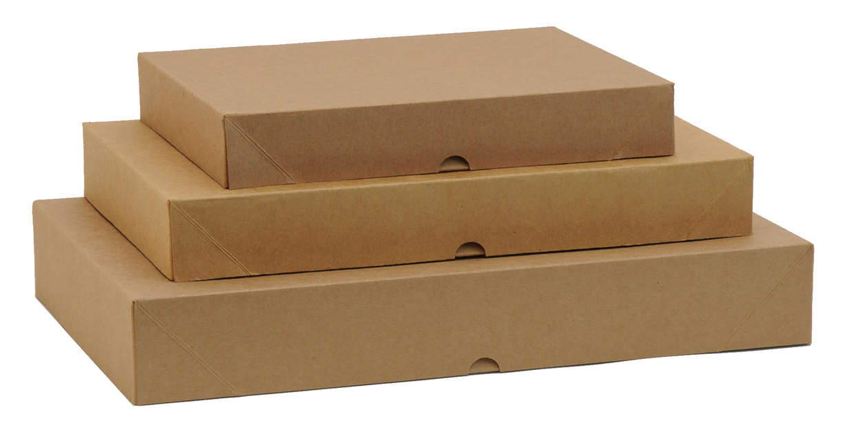 Emartbuy Packung mit 12 Stück Geschenkbox in Rechteckiger Form 21 cm x 12.5 cm x 2.5 cm,Braune Kraft Schachtel mit Klarem Deckel und Satinband 