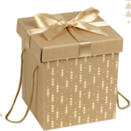 Coffret carton + noeud satin : Geschenkschachtel präsentbox