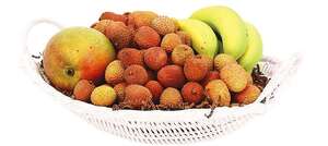 Produktbild Obstschale aus Polypropylen