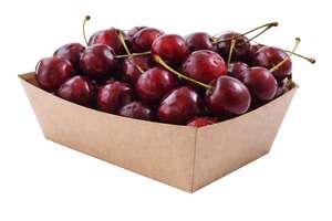 Produktbild 500 Pappschalen