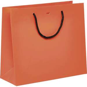 Produktbild Papiertüte mit schwarzen Papiergriffen