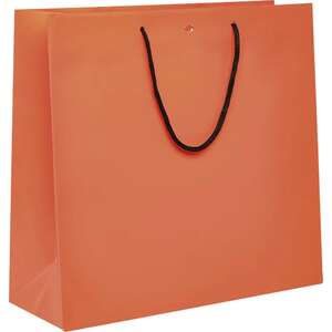 Produktbild Papiertüte mit schwarzen Papiergriffen