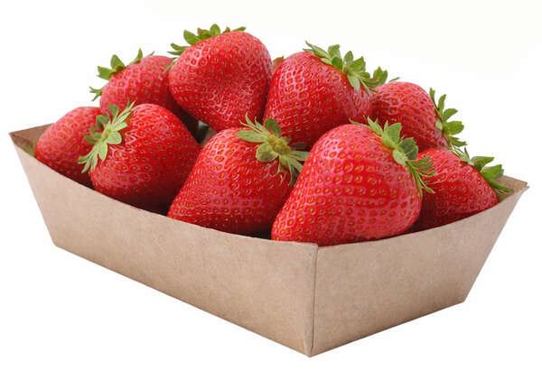 Produktbild 500 Pappschalen