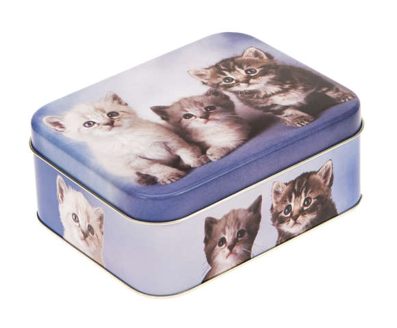 Metallbox 4-eckig 'Kätzchen' : Geschenkschachtel präsentbox