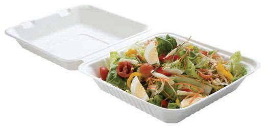 Lunchbox 100% Naturstoff 1-Fach m. Deckel - 50 St. : Events, catering