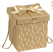 Coffret carton + noeud satin : Geschenkschachtel präsentbox