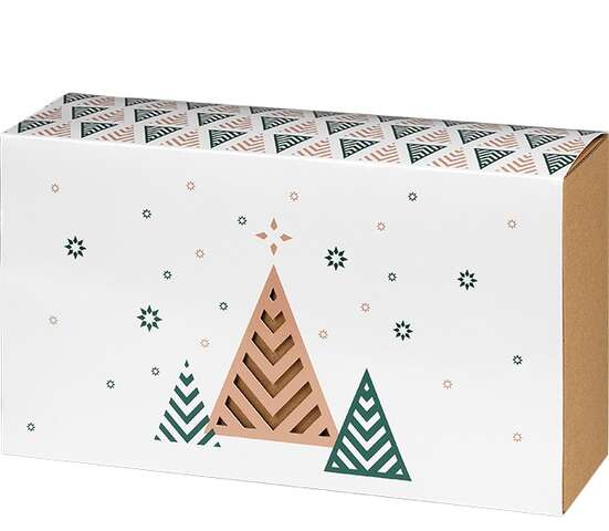 Coffret carton kraft rectangle fourreau "bonnes fêtes " : Geschenkschachtel präsentbox