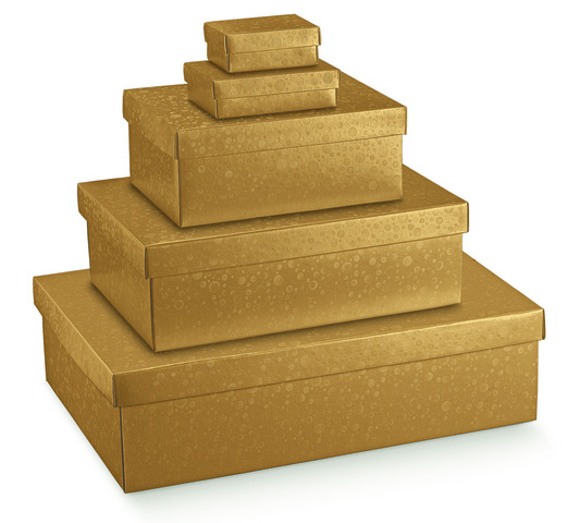 Pappschachtel 2-tlg gold : Geschenkschachtel präsentbox